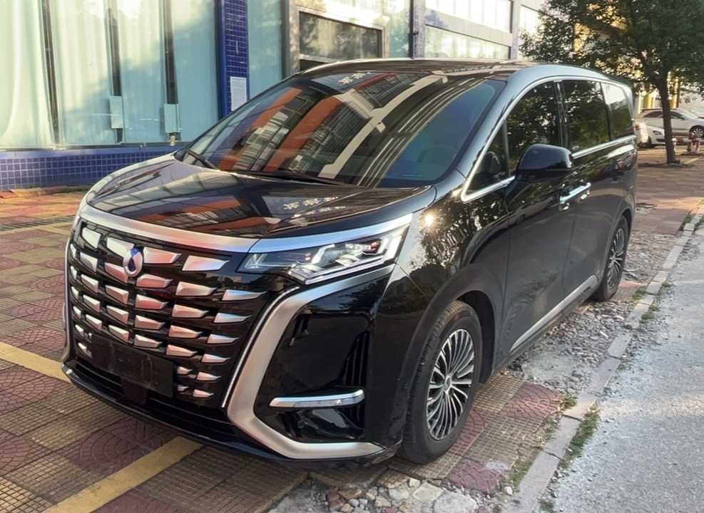 MY2024 DENZA D9 DM-i 980 4WD Flagship