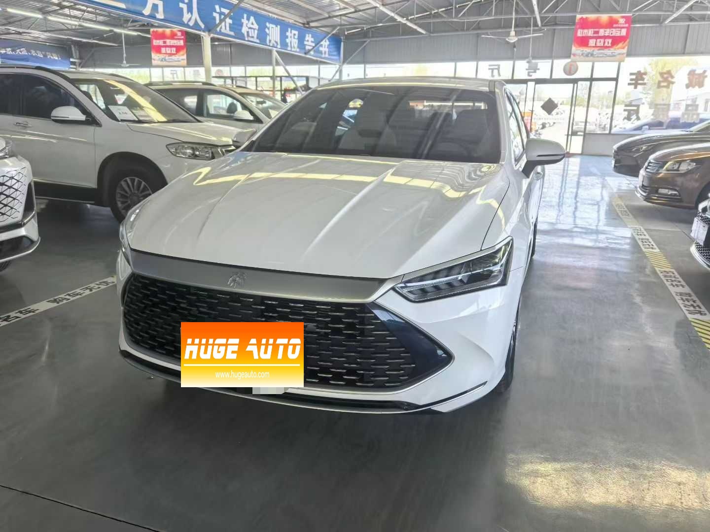 MY2023 Qin PLUS Champion DM-i 120KM Lead