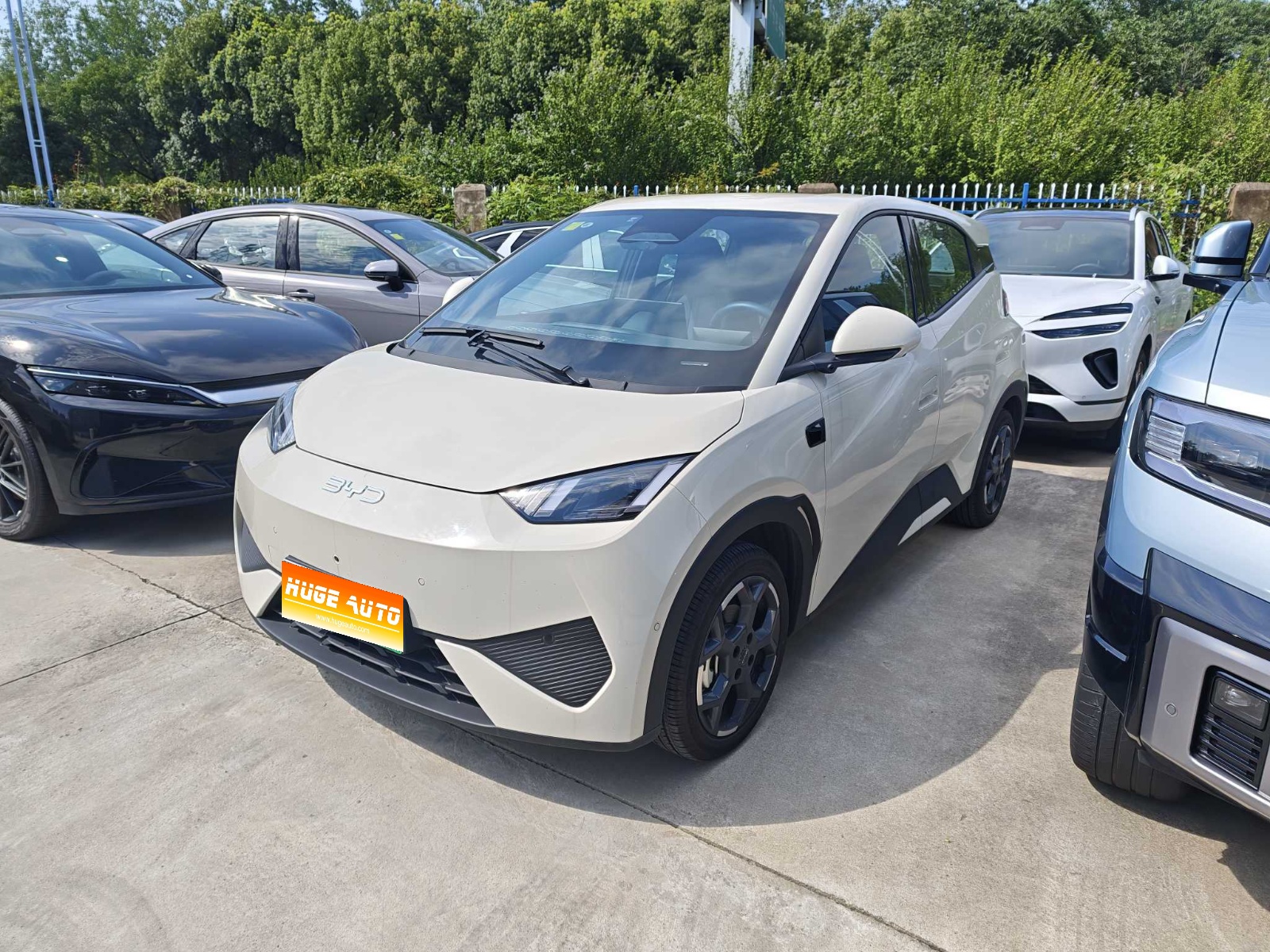 MY2025 Seagull iDrive 305km Free