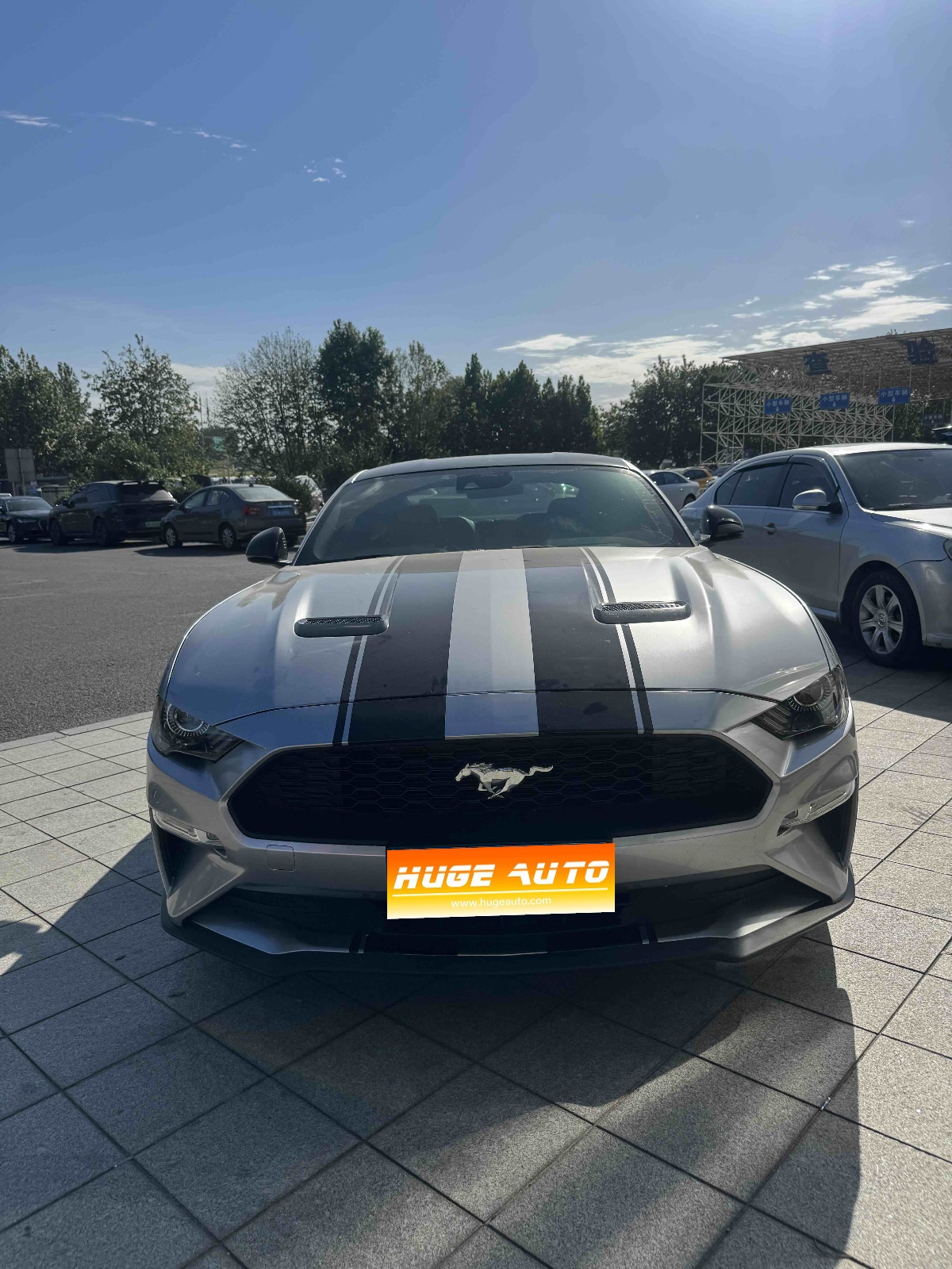 2021款 Mustang 2.3T EcoBoost