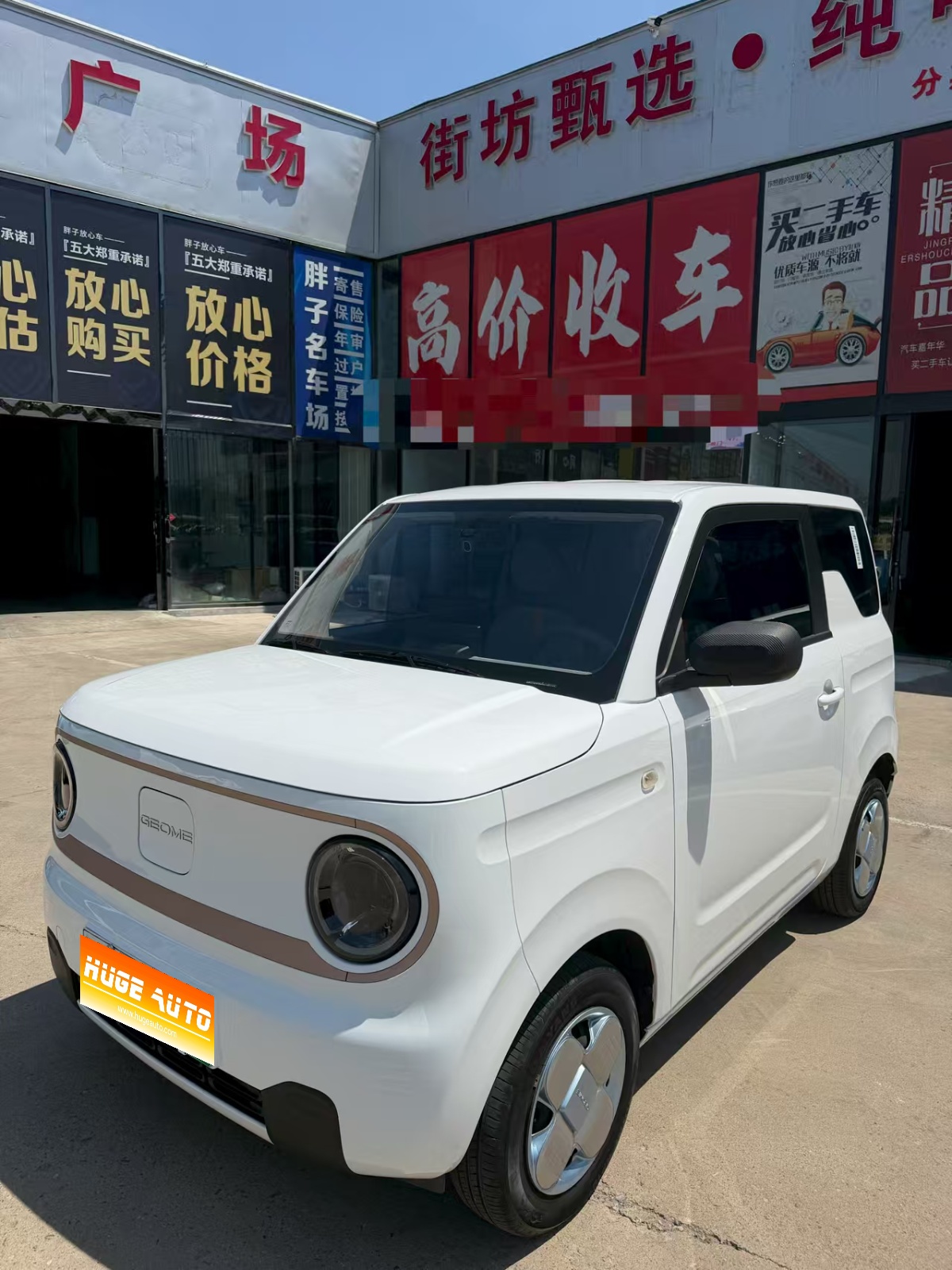 MY2024 Panda mini 200km Endurance