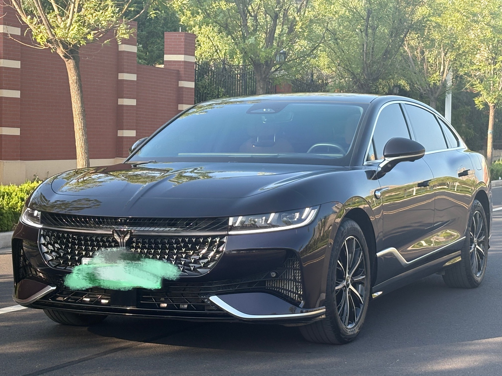 MY2024 VOYAH PASSION PHEV 4WD Ultra-Long Range Executive