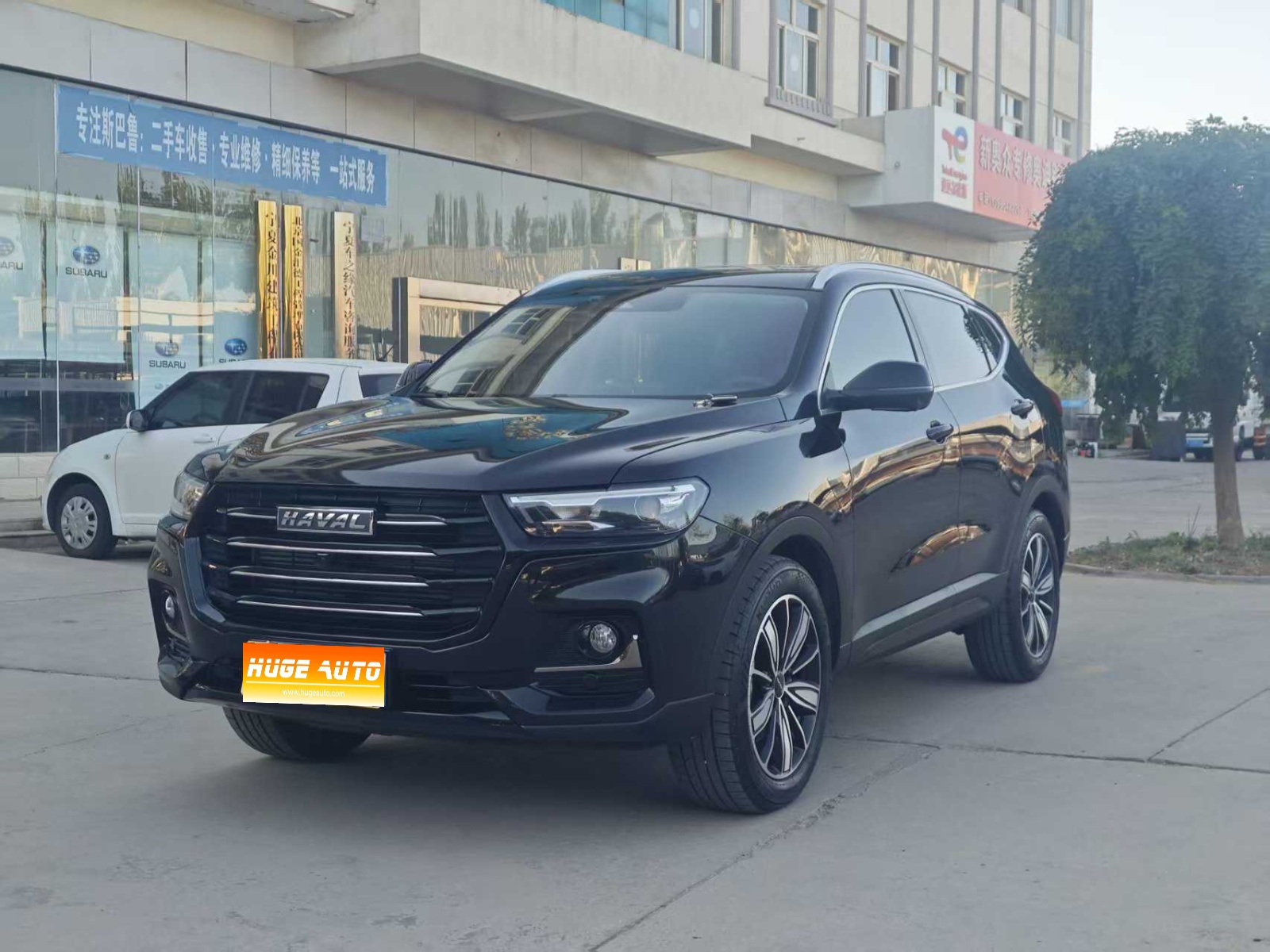 MY2025 Haval H6 1.5T China-chic Champion