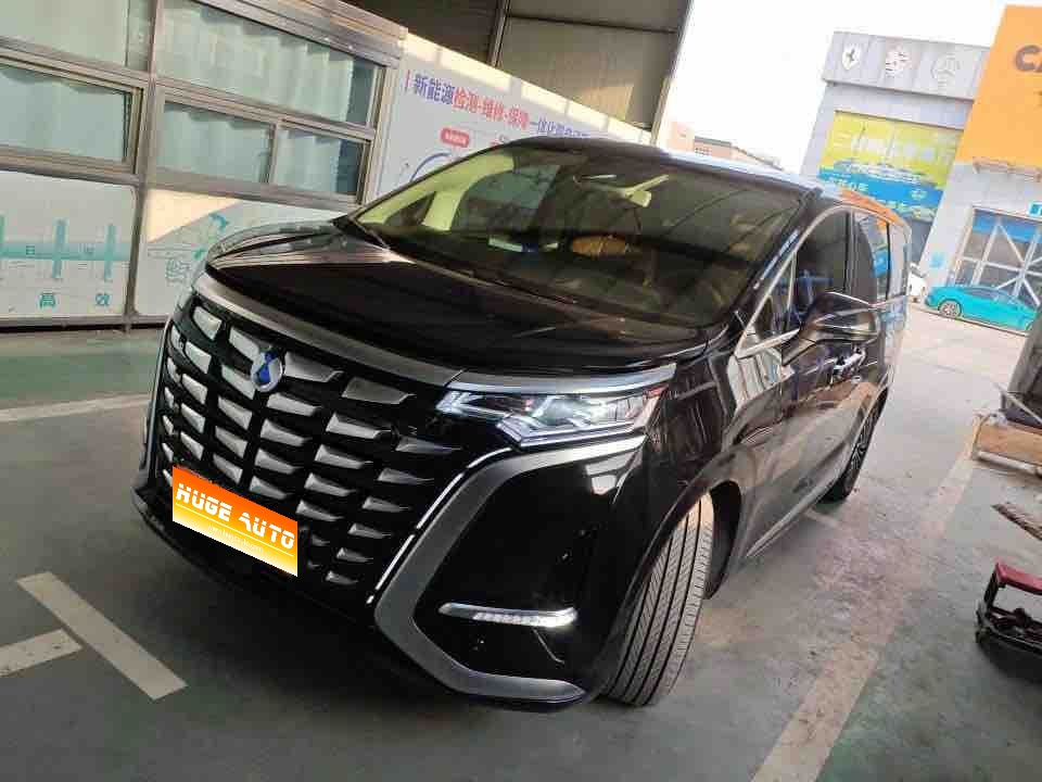 MY2024 DENZA D9 DM-i 980 4WD Honor