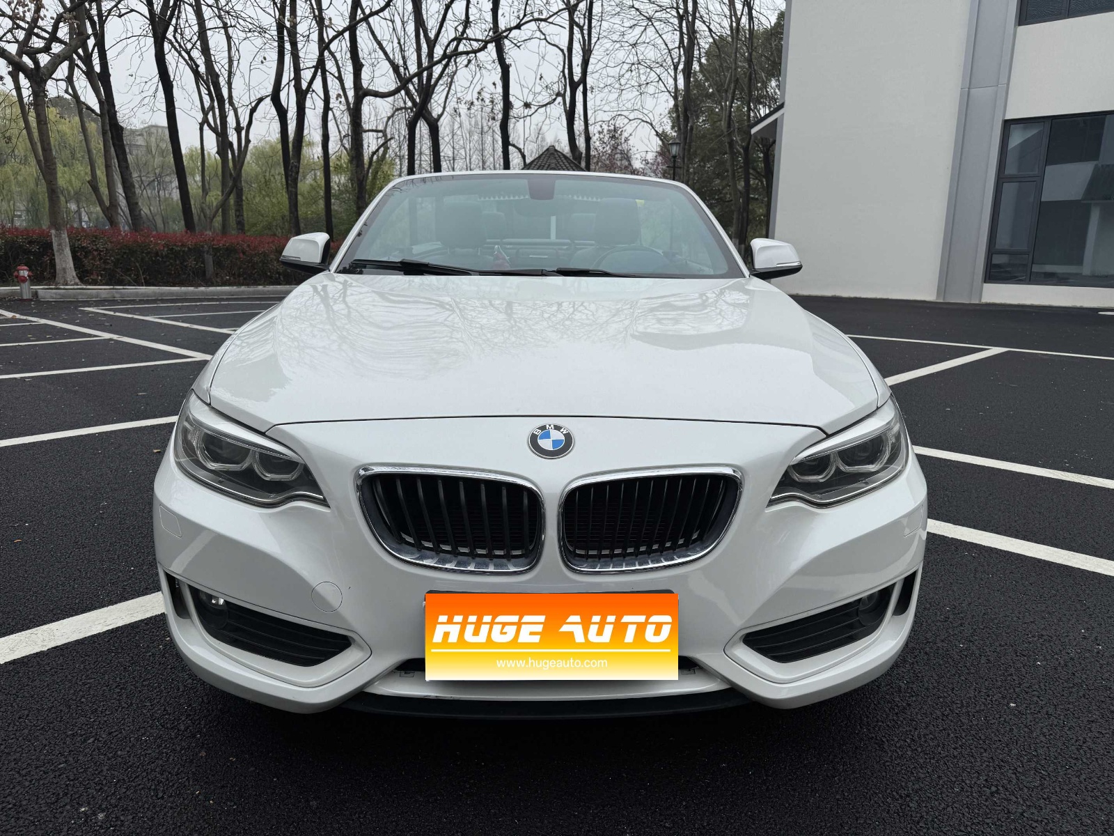 MY2015 BMW 2 Series(Imported) 220i Convertible Coupe Lead Version 