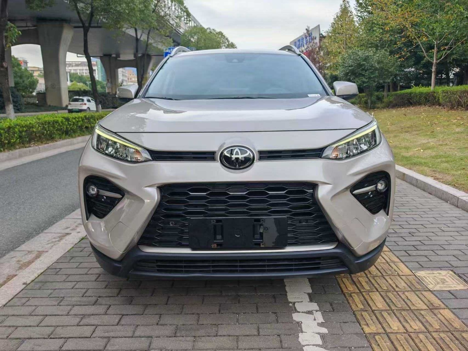 MY2021 Wildlander 2.0L CVT 2WD Luxury Version 