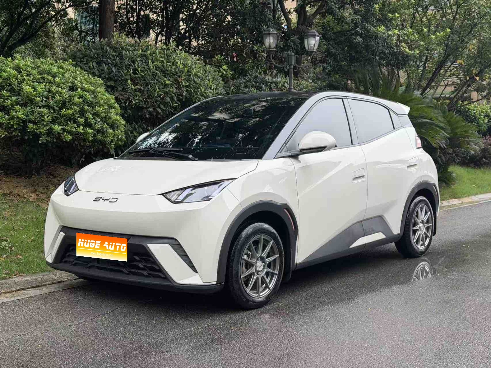 MY2023 Seagull Vitality