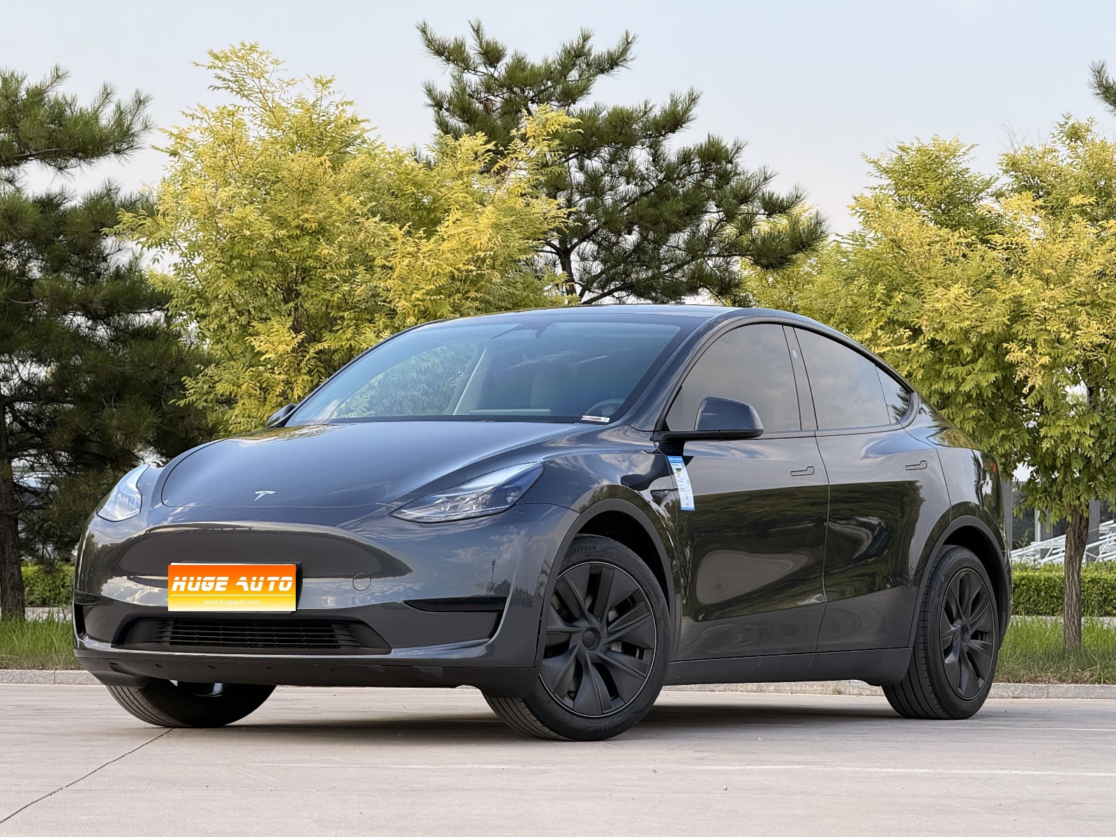 MY2024 Model Y RWD