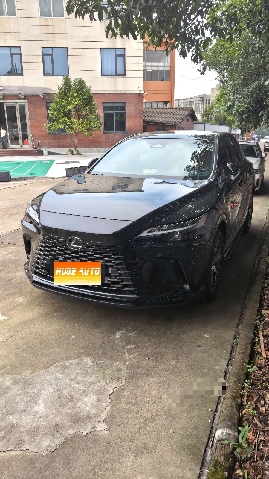 MY2025 LEXUS RX 300 4WD Enjoy Version