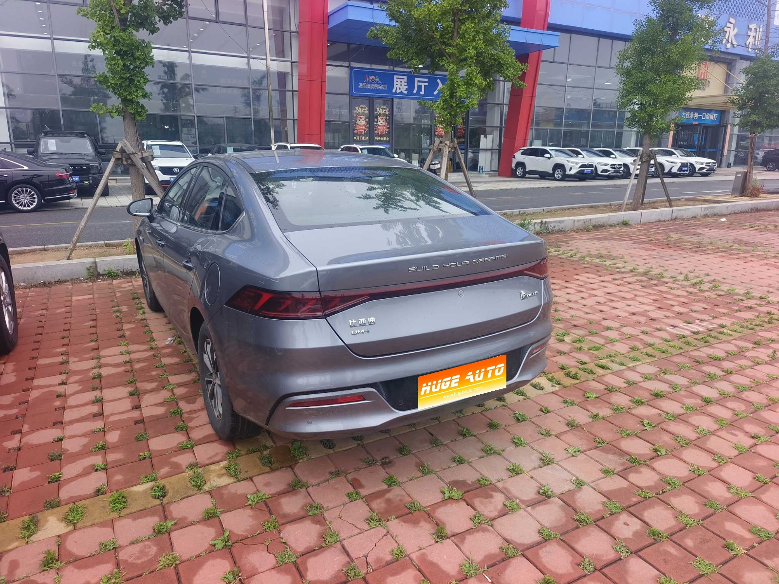 MY2024 Qin PLUS Honor DM-i 55KM Lead