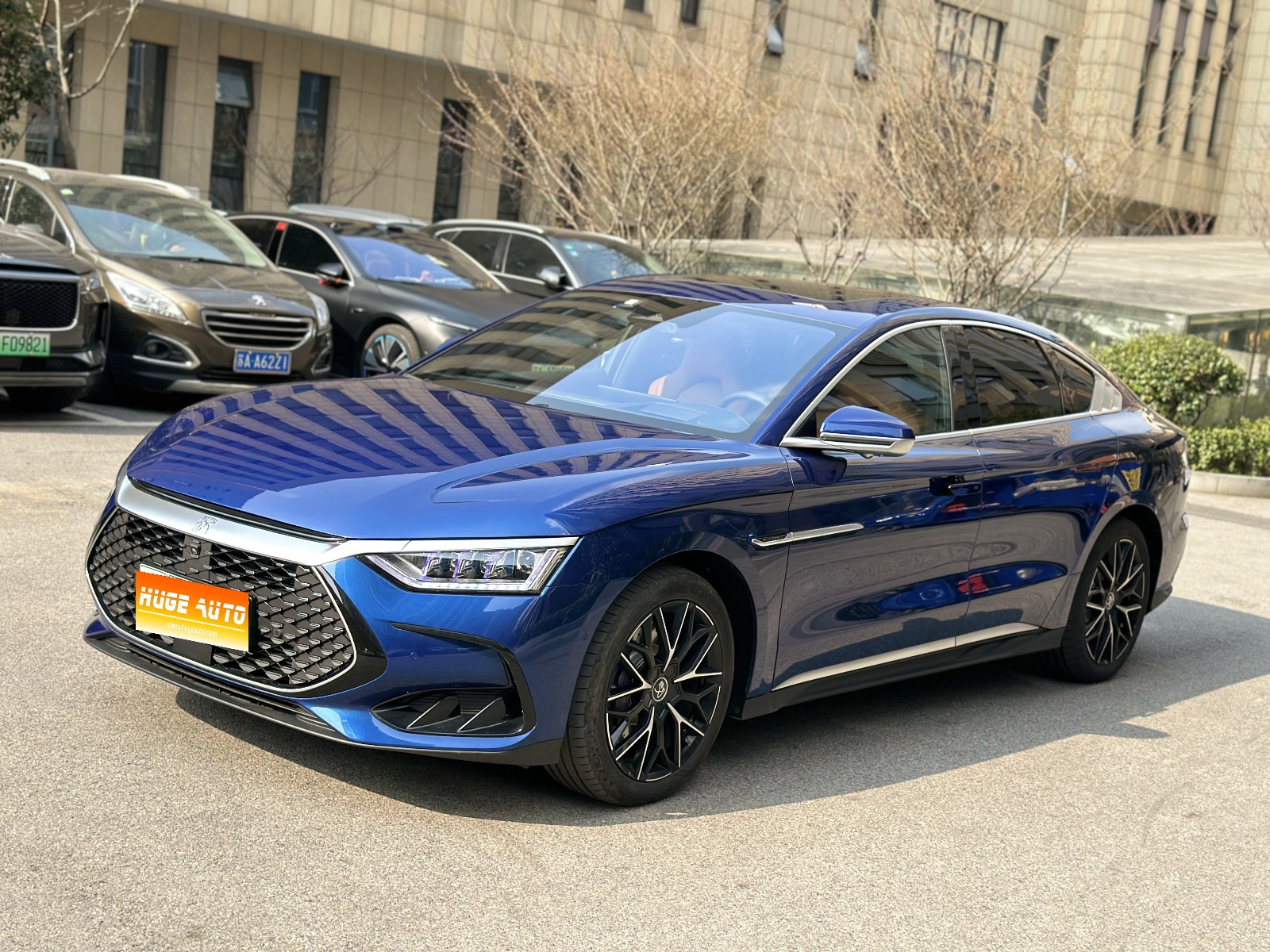 MY2022 Han DM-p 202KM 4WD Flagship