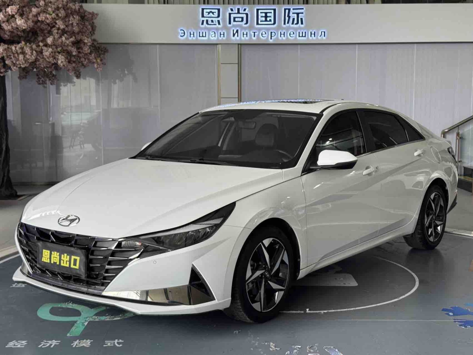 MY2023  Elantra (Gen3-4)  240TGDi DCT N Line LUX Luxury