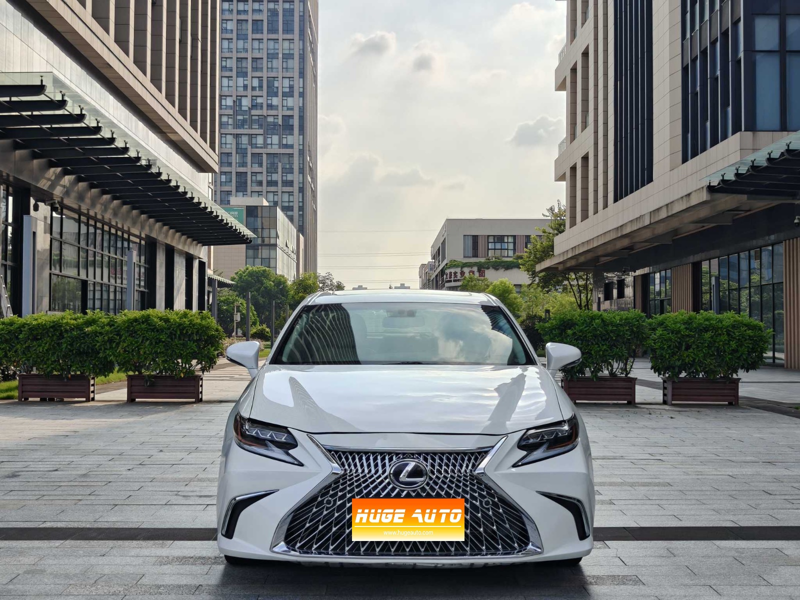 MY2014  Lexus ES 250  Elite