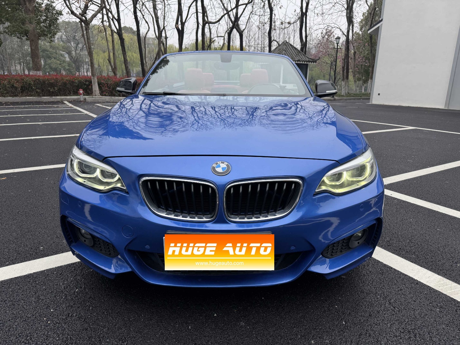 MY2015 BMW 2 Series(Imported) 220i Convertible Coupe M Sport Version 