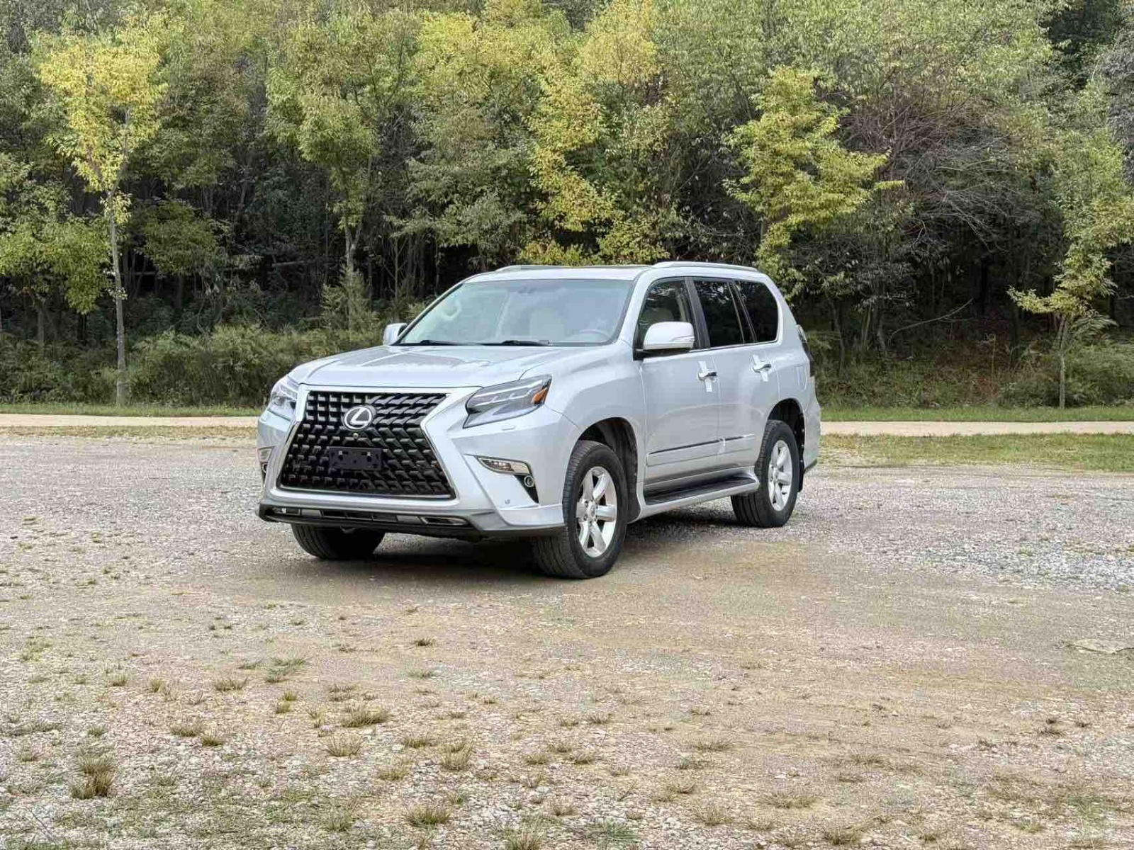 MY2010  Lexus GX 460