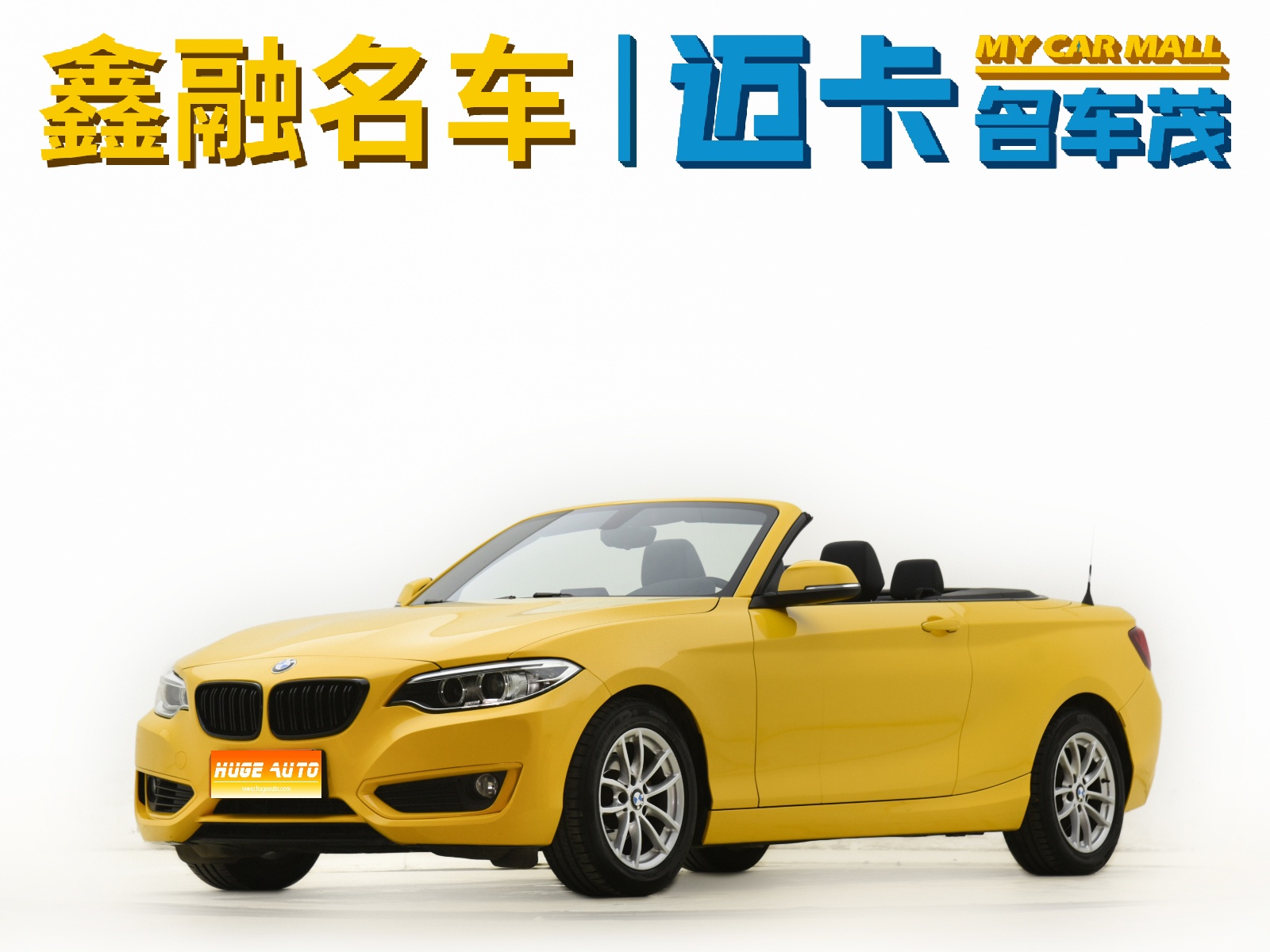 MY2015 BMW 2 Series(Imported) 218i Convertible Coupe 