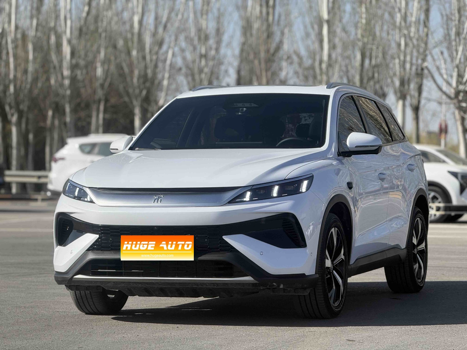 MY2025 Song Pro 2nd Generation iDrive DM-i 115KM Excellence