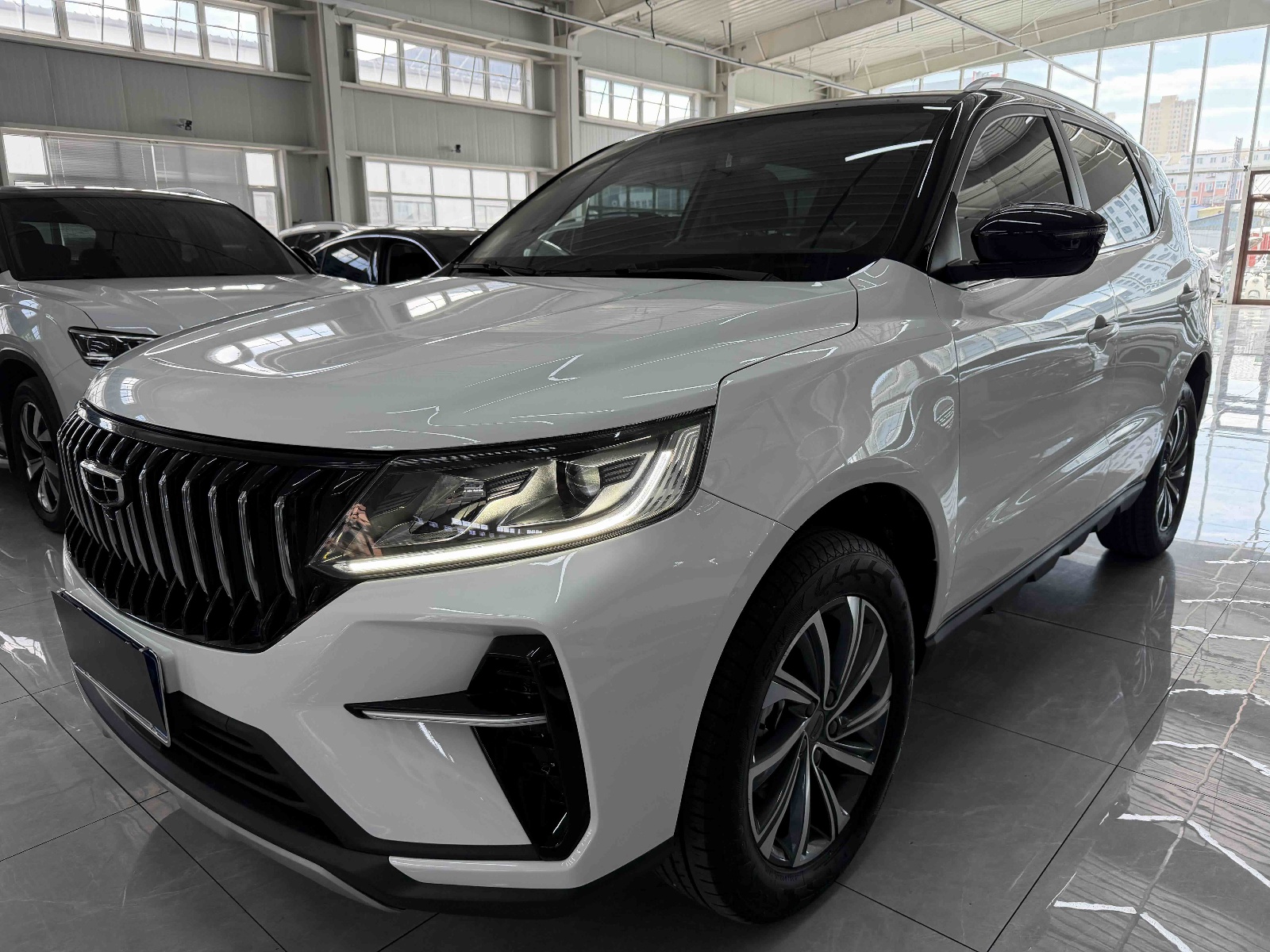 2021款 远景X6 PRO 1.4T 自动尊贵型