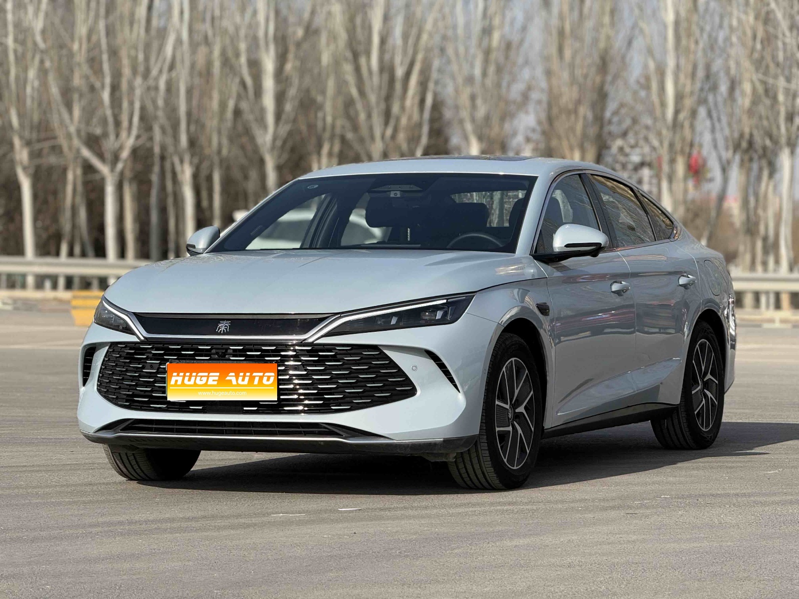 MY2025 Qin L DM-i i-Drive 120KM Exceed