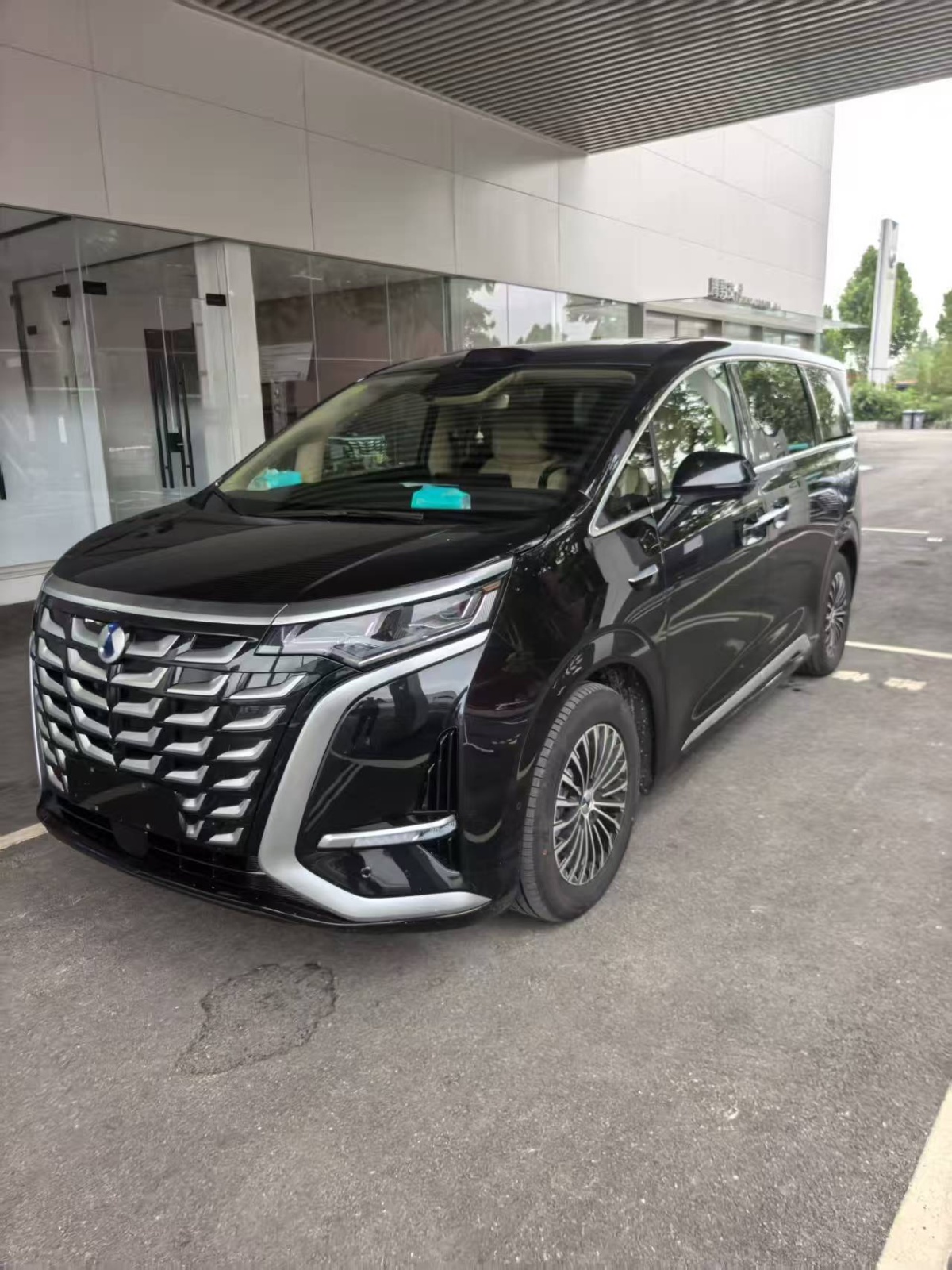 MY2025 DENZA D9 DM-i 4WD Voyage