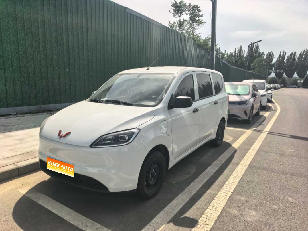 MY2024 Wuling Hongguang BEV 300KM Utility Version