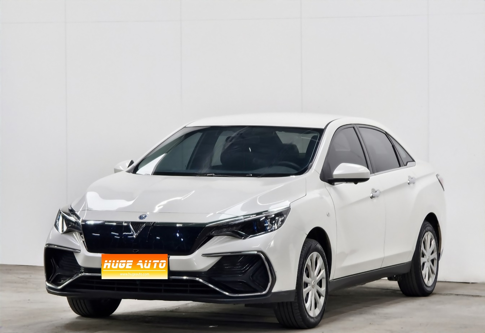 MY2020 Venucia D60EV Basic-range Zhixing