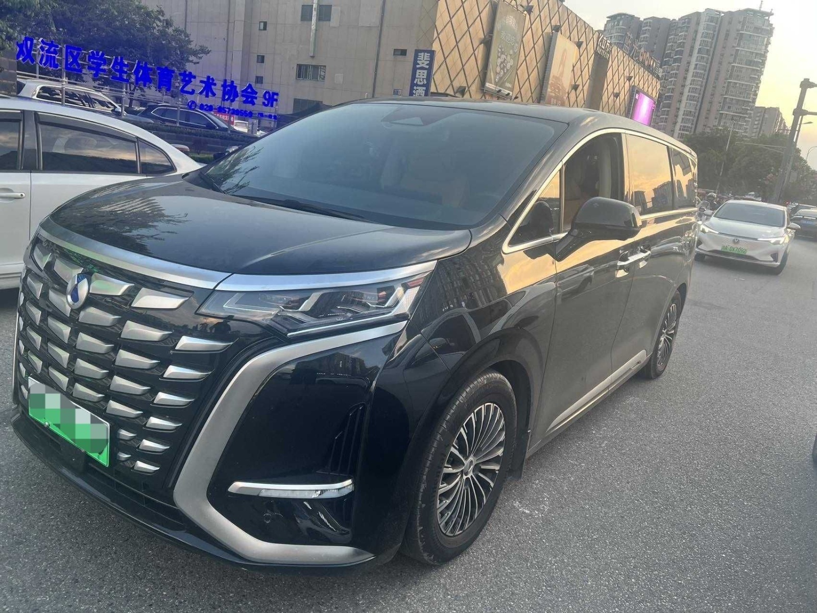 MY2024 DENZA D9 DM-i 980 4WD Honor