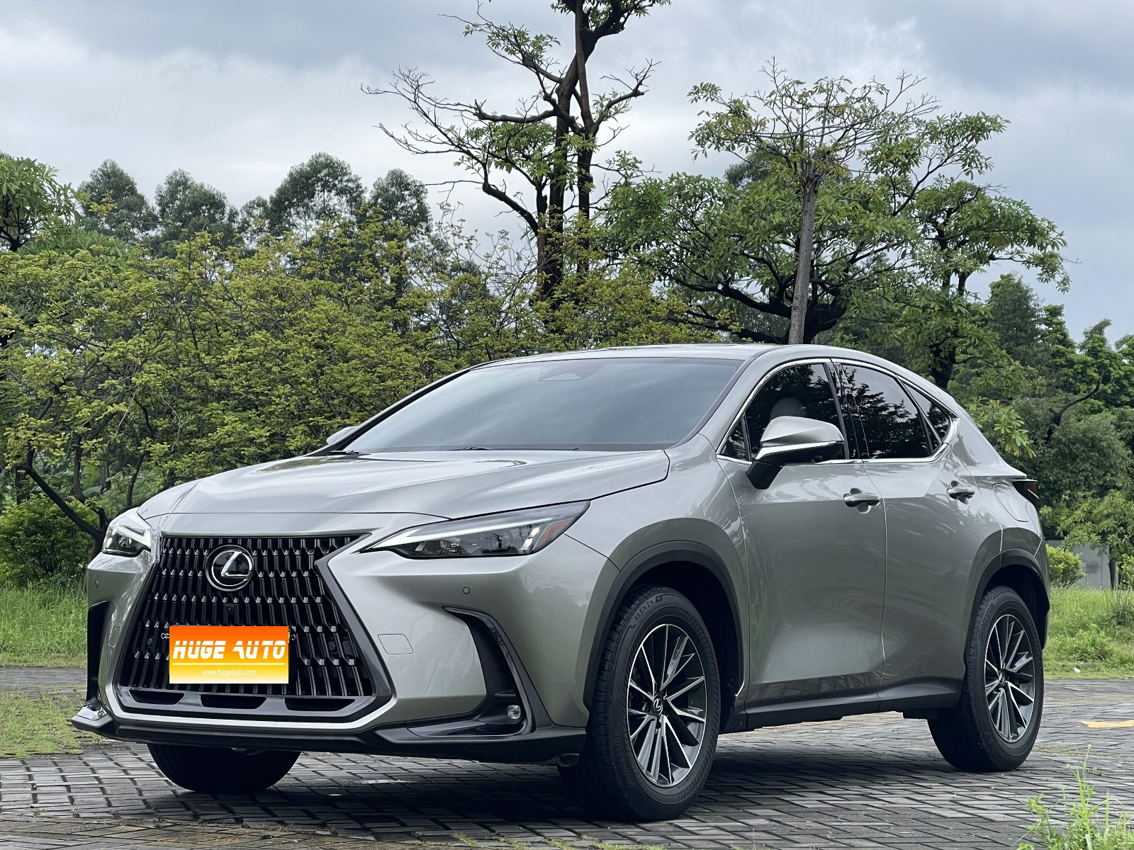 MY2023 LEXUS NX 350h FWD Joy