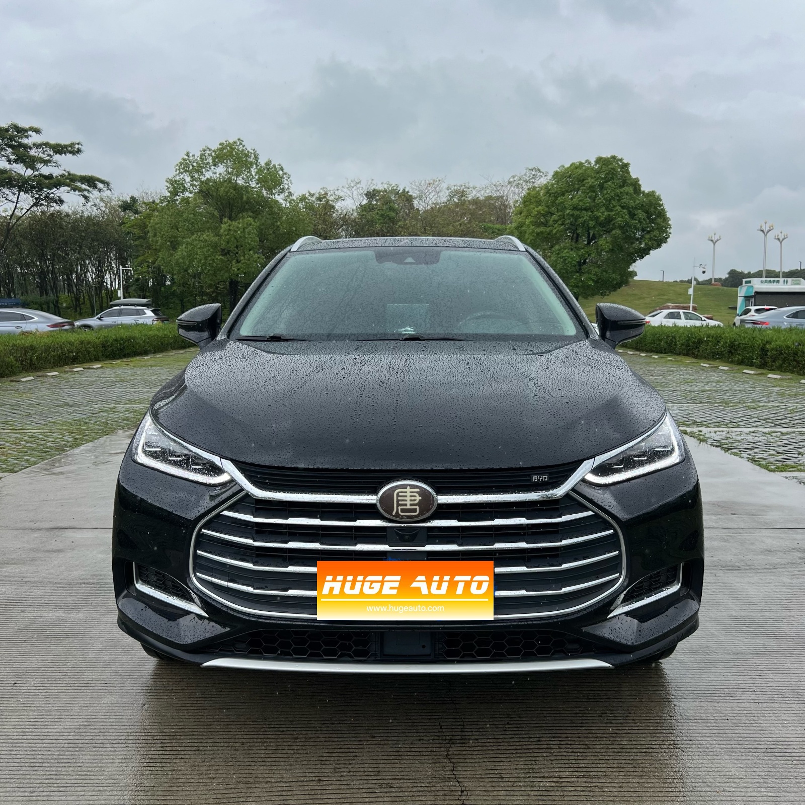 MY2019 Tang 2.0T AT i-connect Glory 5-Seat National VI