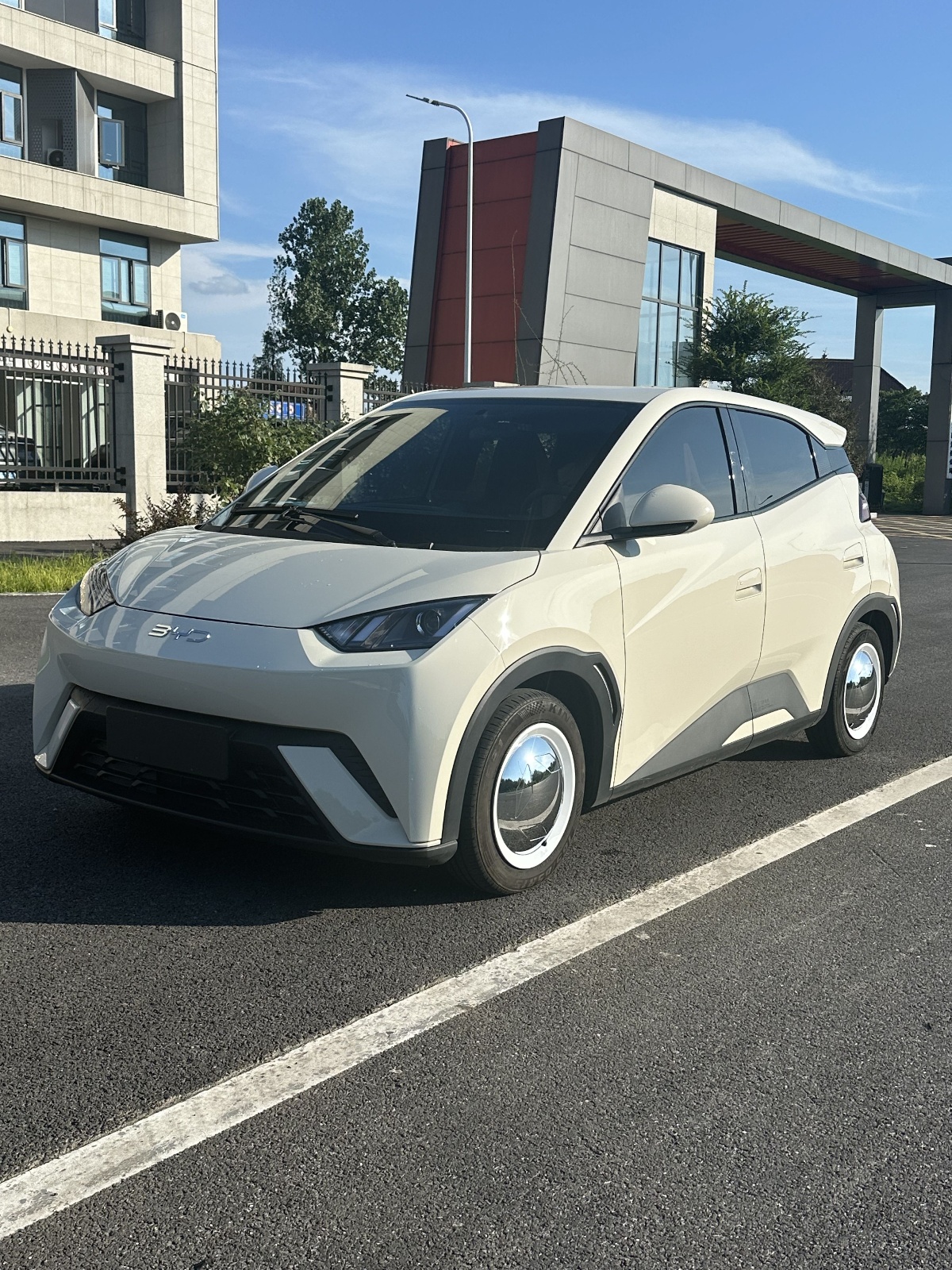 MY2023 Seagull Vitality