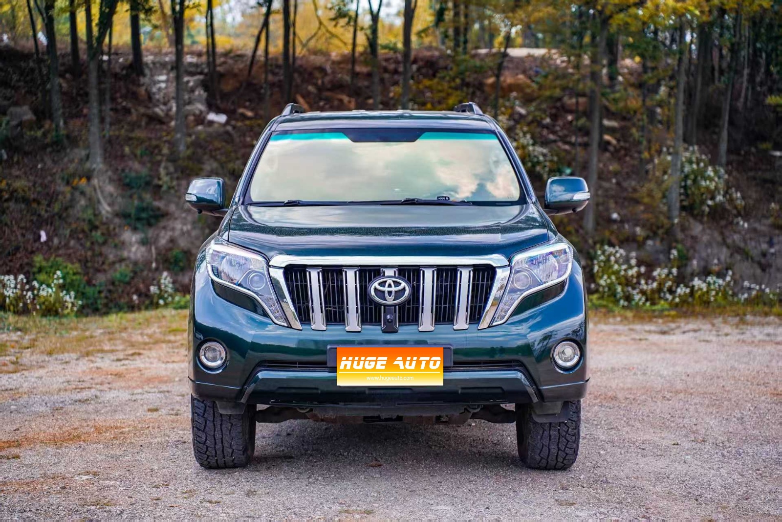 MY2010 Prado(imported) 2.7L AT Luxury 