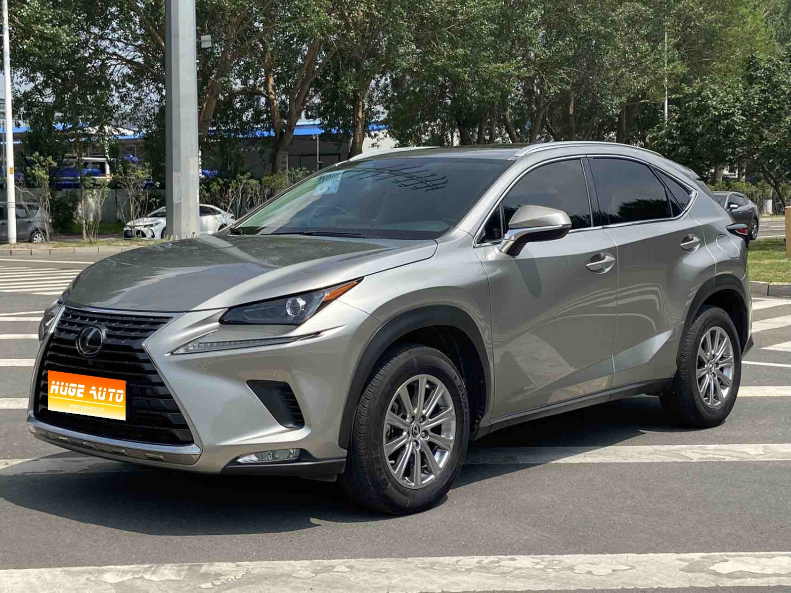 MY2020 Lexus NX 200 AWD Vanguard Version National VI