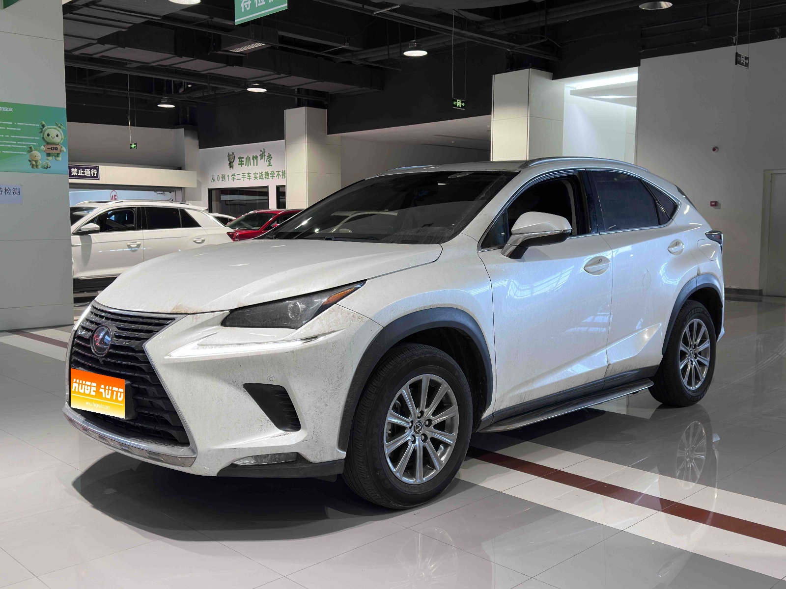 MY2020 Lexus NX 200 AWD Vanguard Version National V 