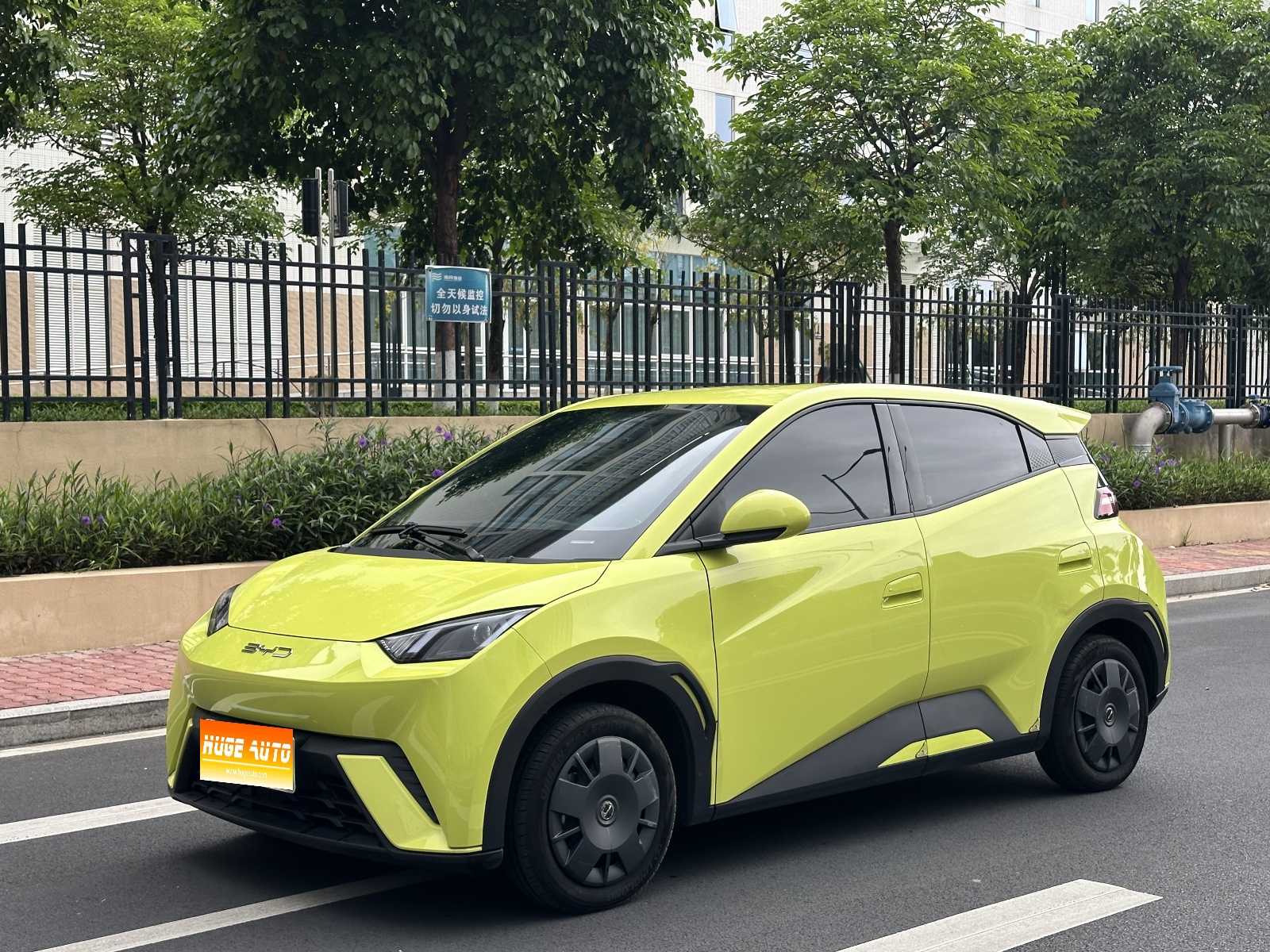 MY2023 Seagull Vitality