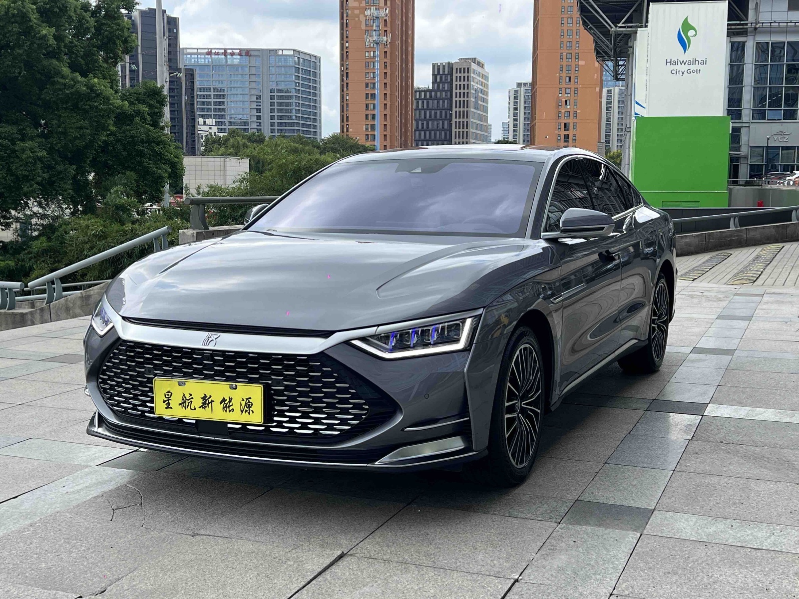 MY2020 Han DM 4WD Performance Luxury
