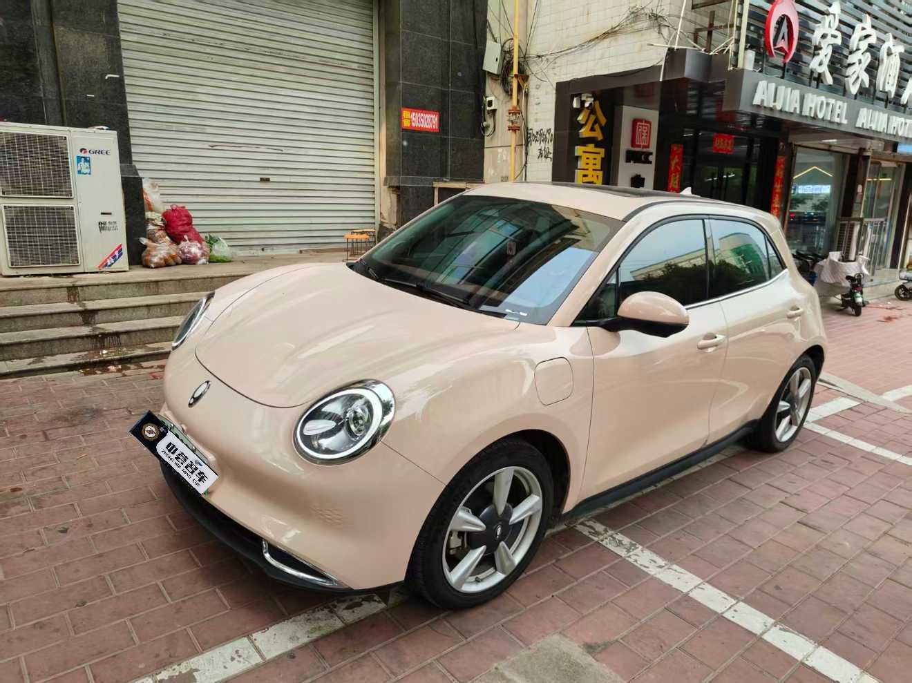 MY2023 Ora 03 401km Standard Range Noble Version Lithium iron phosphate
