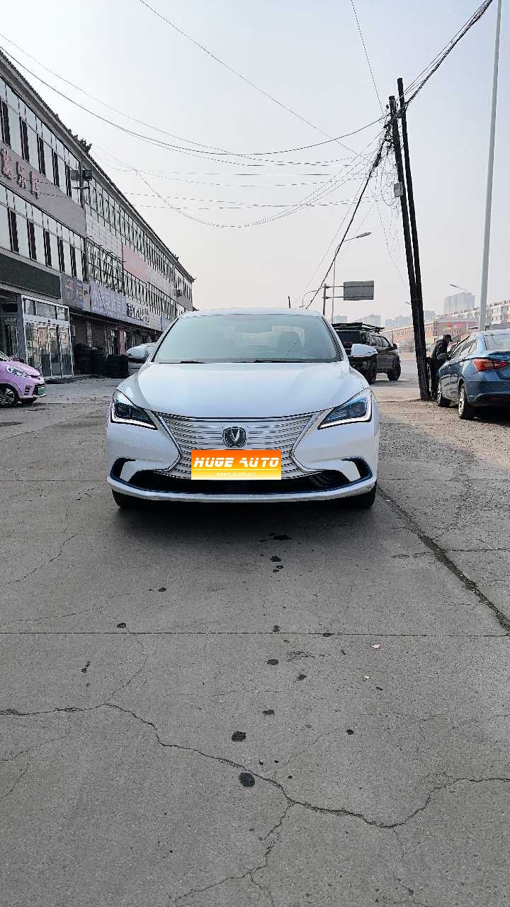 MY2019 Eado NEV EV460 Enjoy Version 
