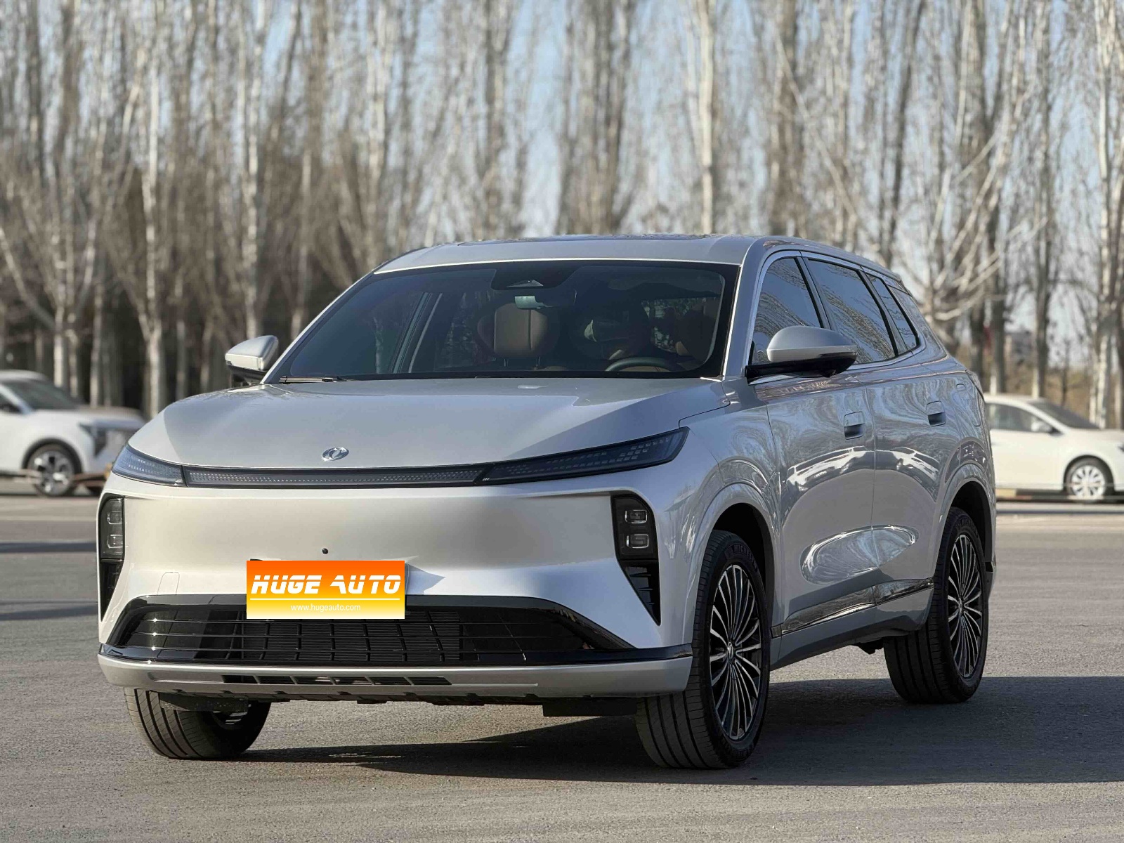 MY2025 Aeolus L8 185KM Ideal