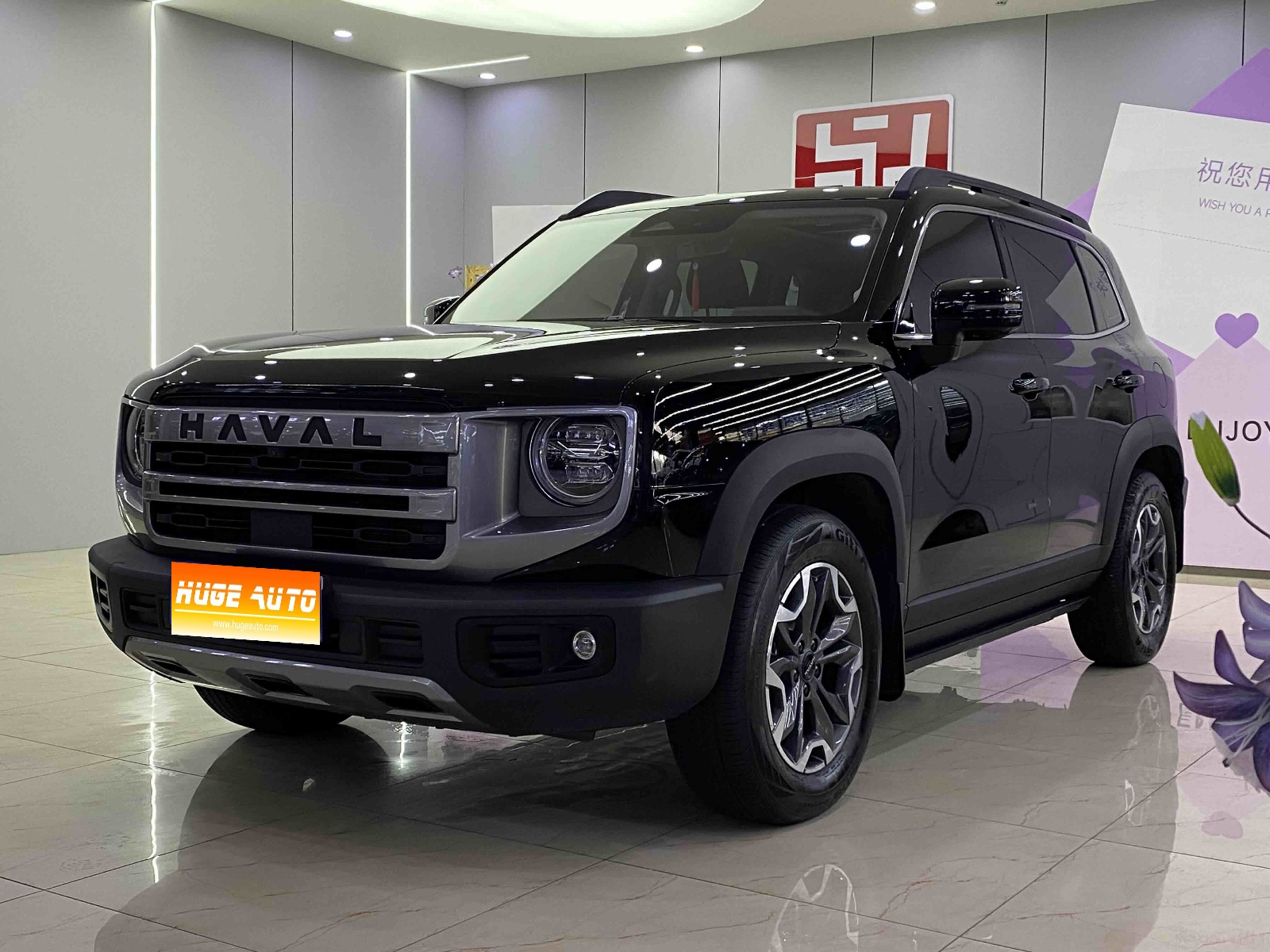 MY2024 Haval Dargo 2.0T DCT Chinese Rural Dog