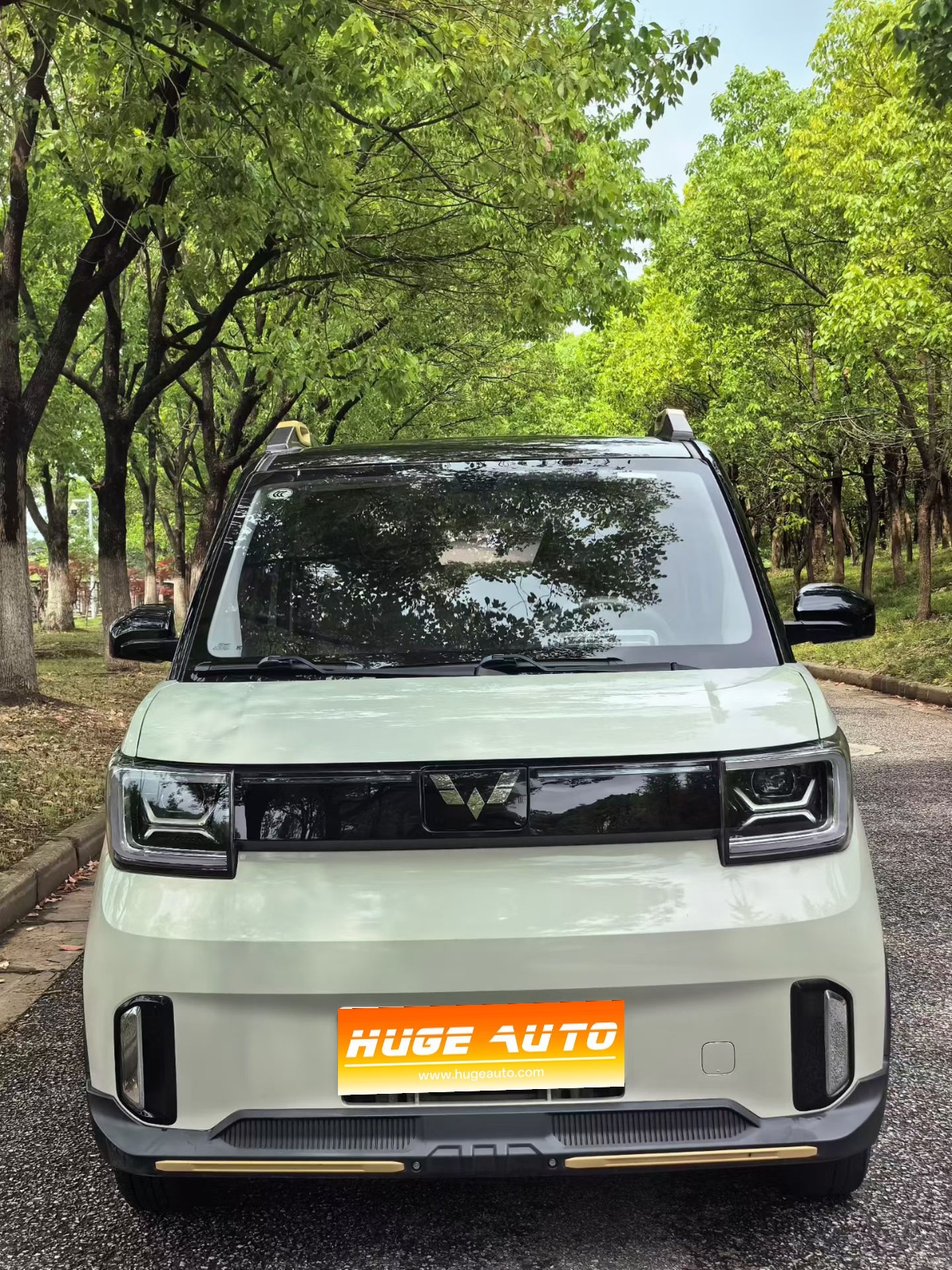 MY2022 Hongguang MINI EV GAMEBOY 200km WankaLithium iron phosphate