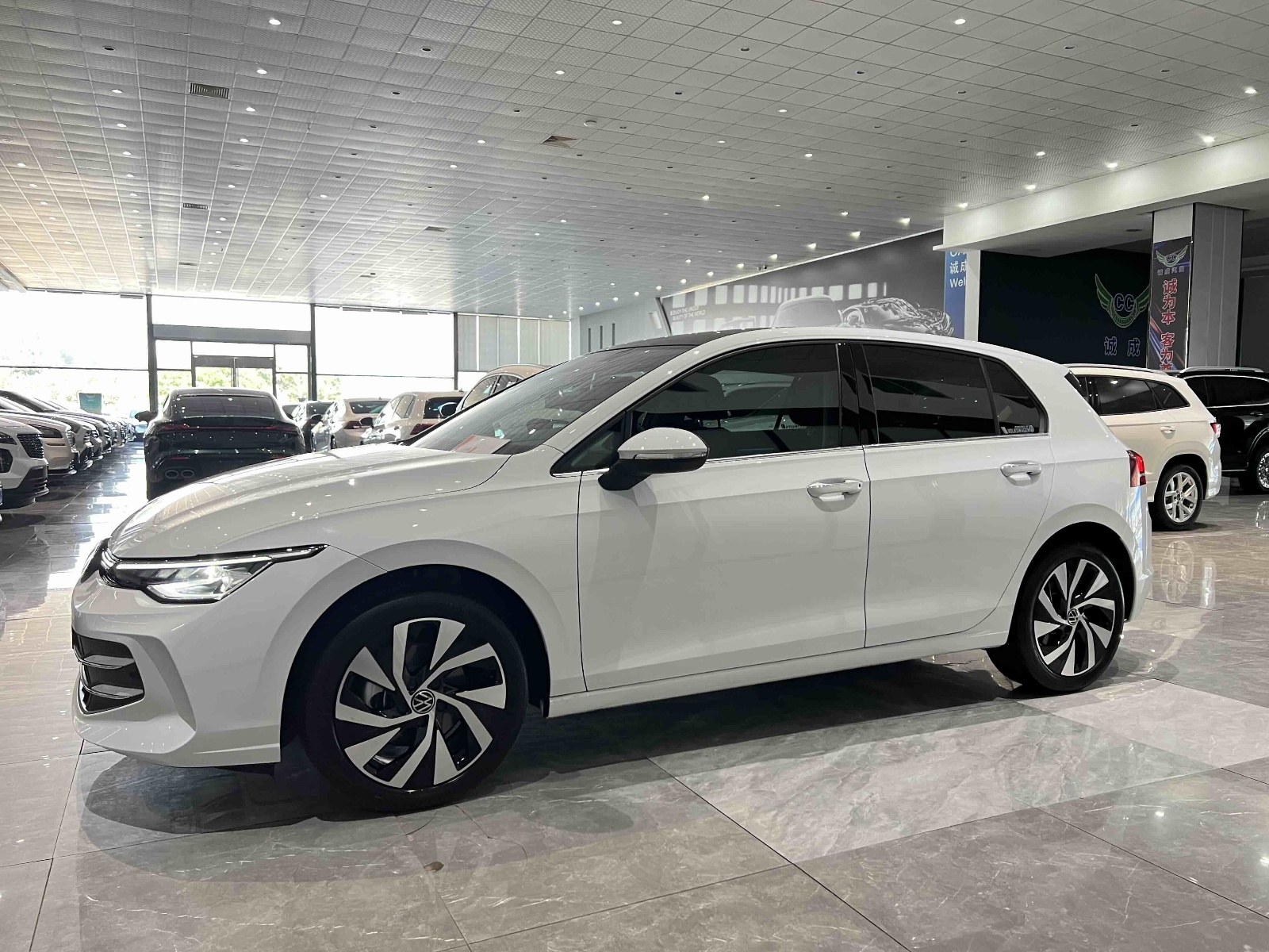 2026款 高尔夫 300TSI Pro