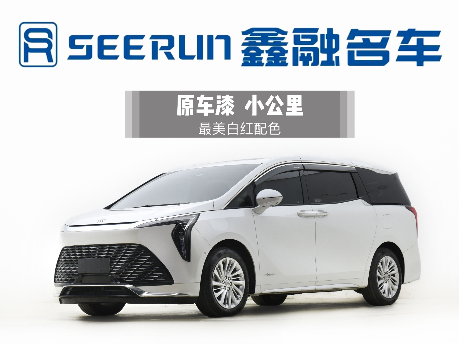 MY2023 Century (Buick) 2.0T 7 seats Yunshi