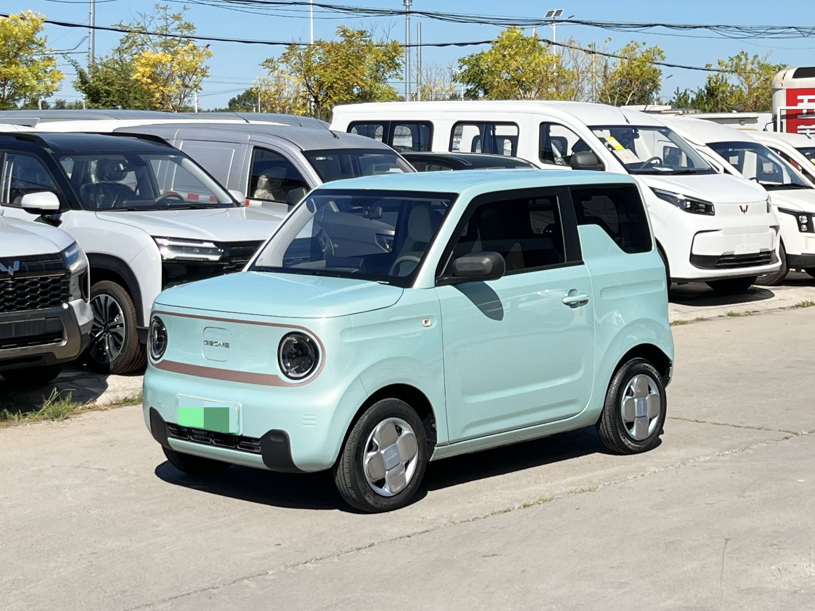 MY2024 Panda mini 200km Endurance