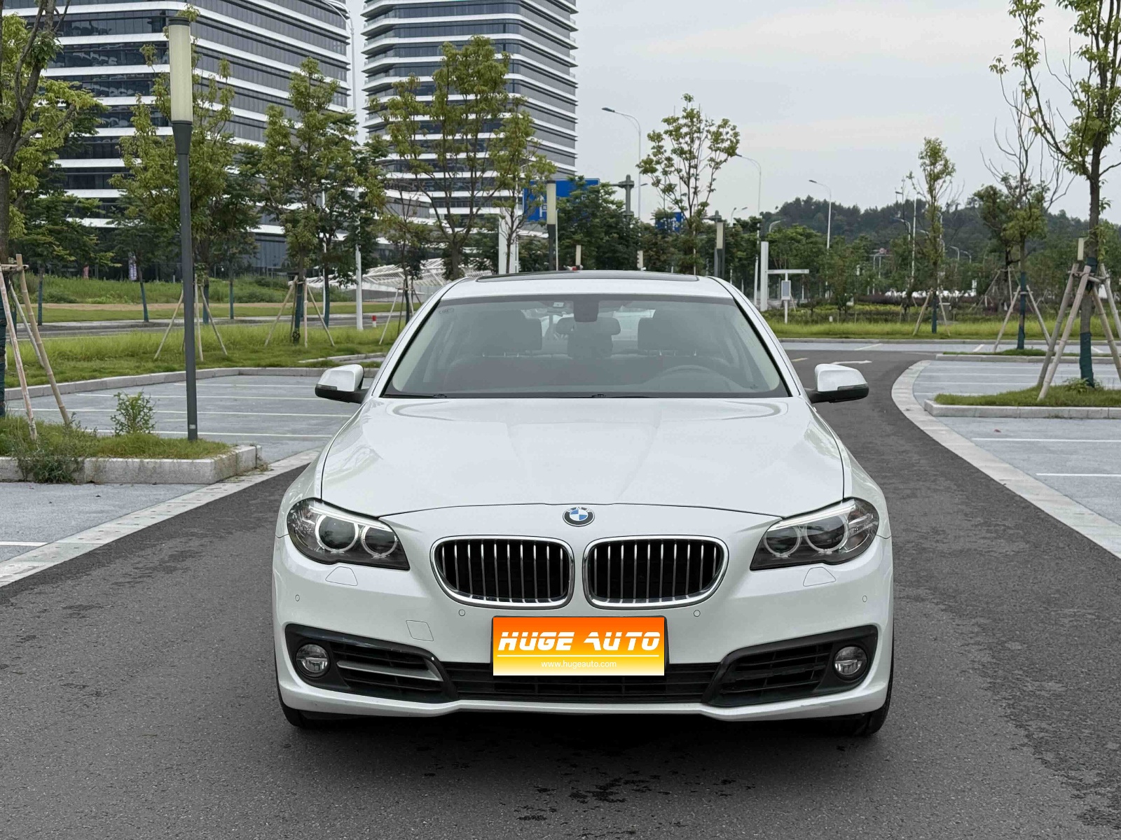 MY2014 BMW 5 Series 530Li Lead