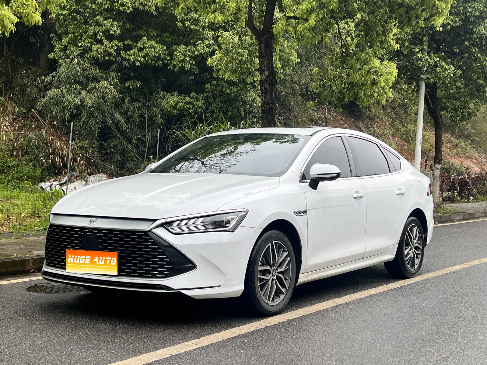 MY2023 Qin PLUS Champion DM-i 120KM Excellence