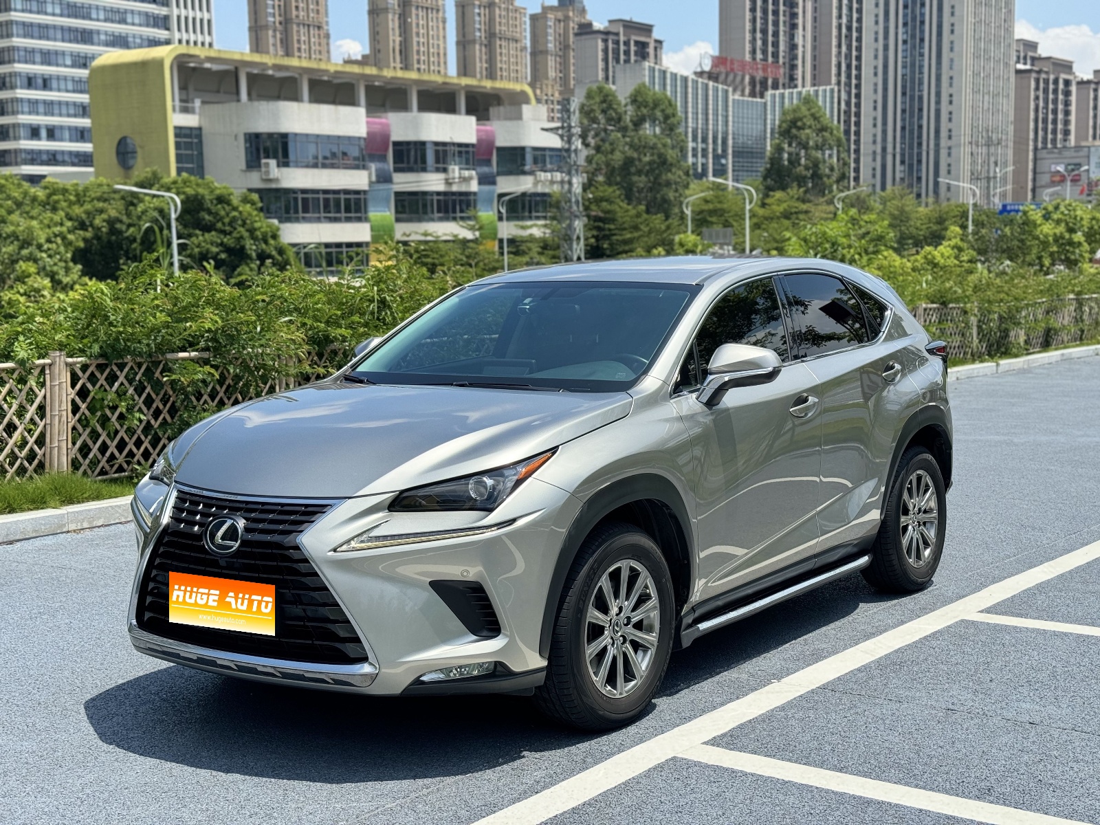 MY2020 Lexus NX 200 FWD Fengxing National VI