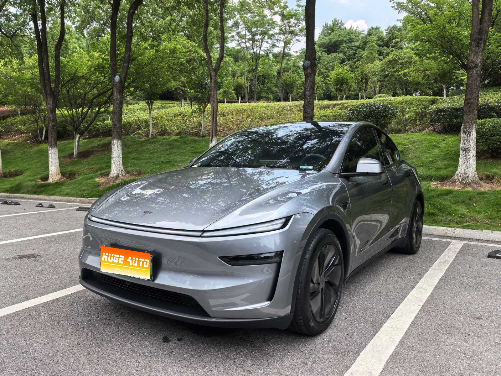 MY2025 Model Y RWD