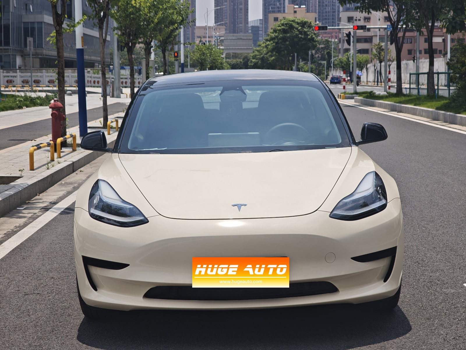 MY2019 Model 3 Standard Range RWD Upgraded 