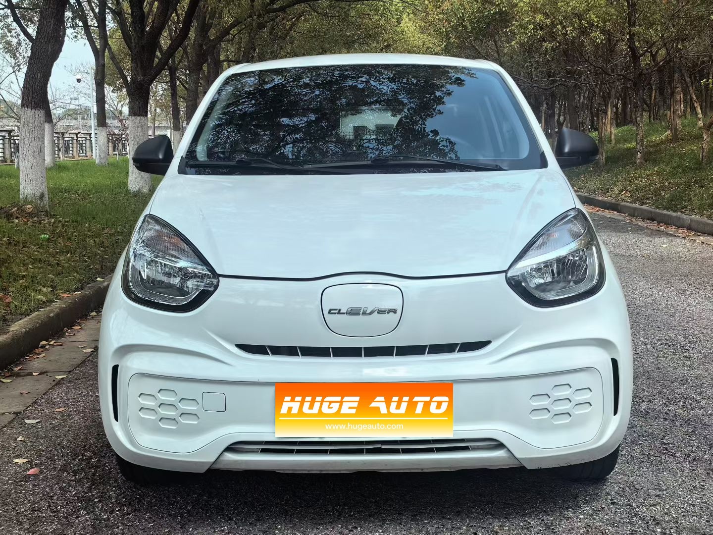 MY2022 Clever CLEVER 311km Yuanqi Bobo