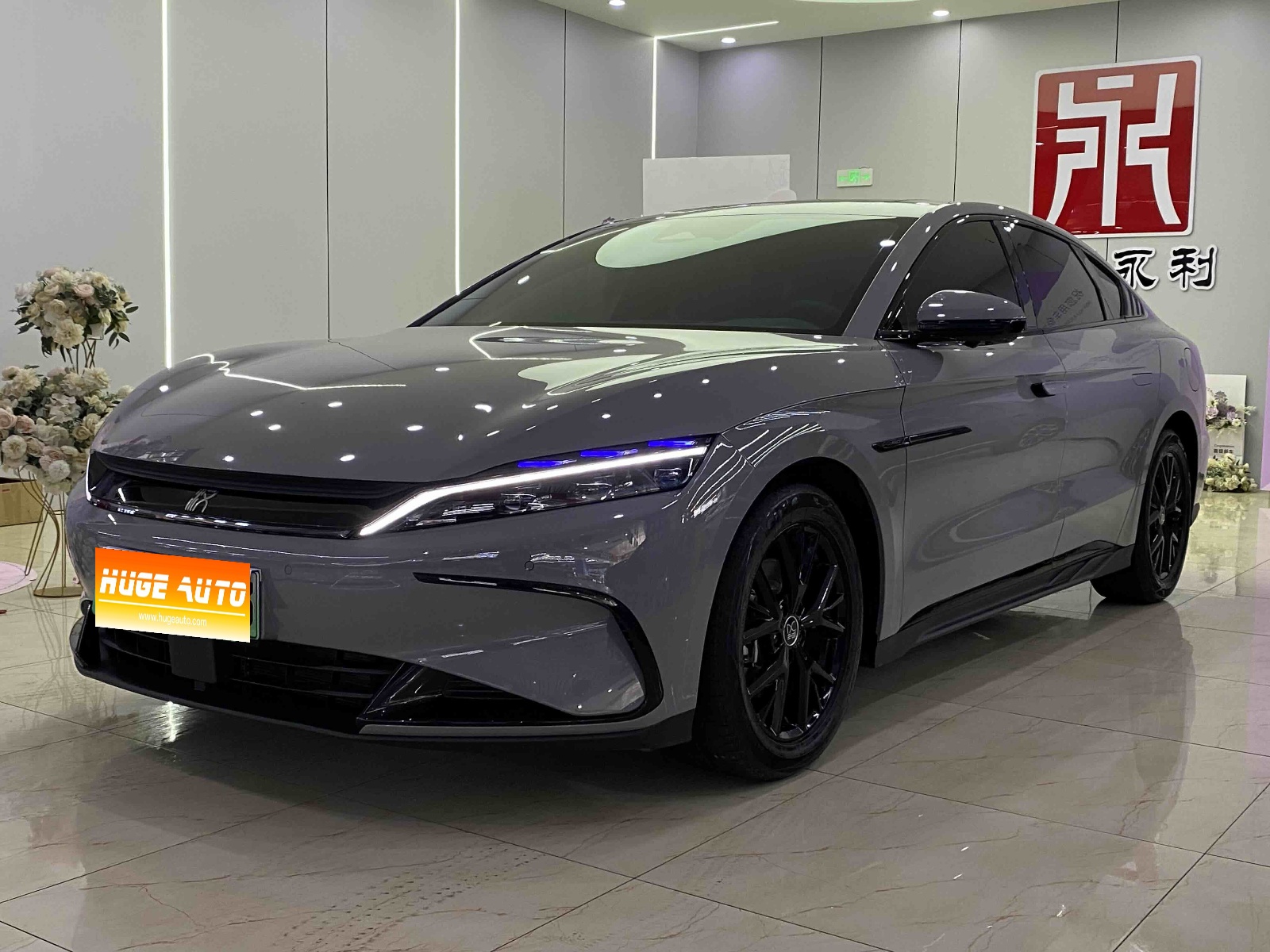 2025款 汉 DM-i 智驾版 125KM精英型